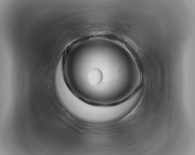 X0000112941353200908241312