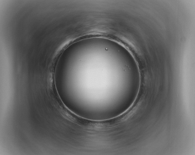 X0000112941355200908241312