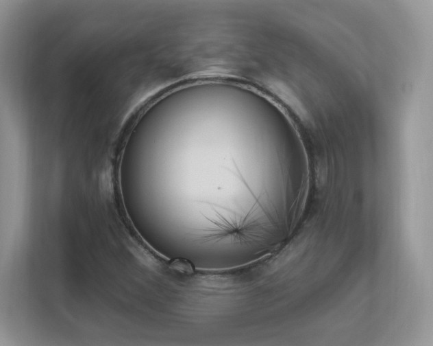 X0000112941356200908241312