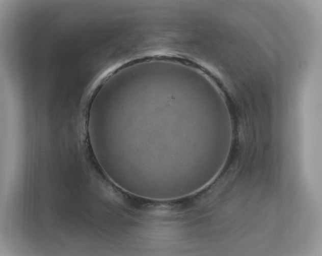 X0000112941359200908241312