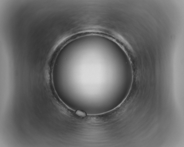 X0000112941360200908241312