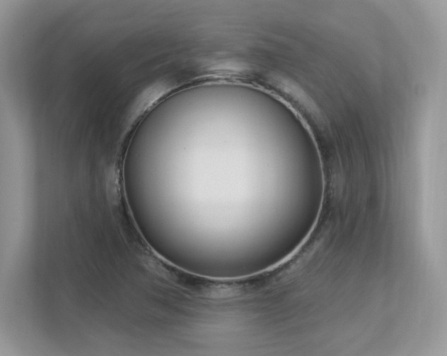 X0000112941362200908241312