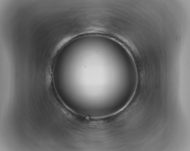 X0000112941363200908241312