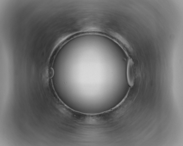 X0000112941364200908241312