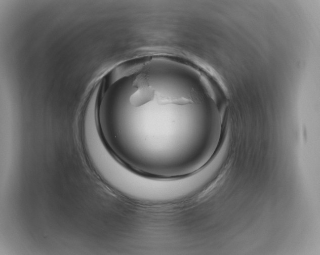 X0000112941365200908241312