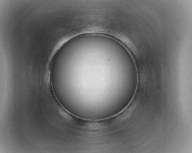 X0000112941366200908241312