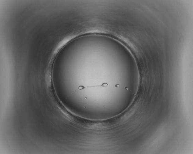 X0000112941367200908241312