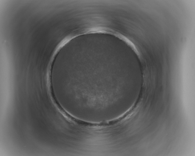 X0000112941373200908241312