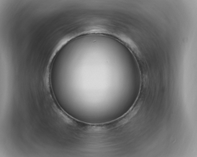 X0000112941374200908241312