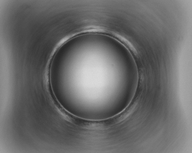 X0000112941375200908241312
