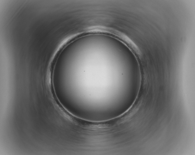 X0000112941376200908241312
