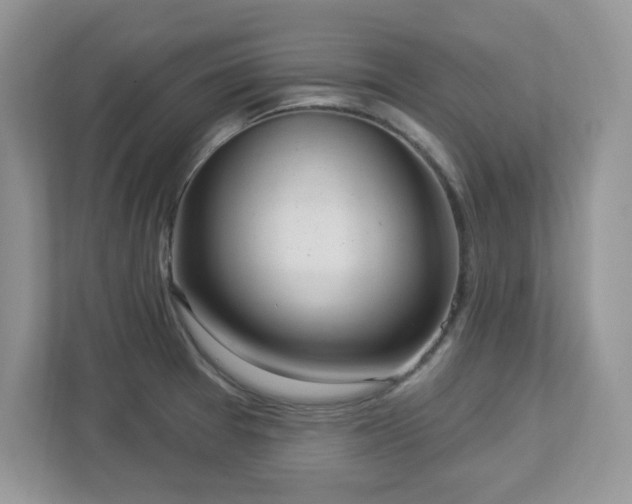 X0000112941377200908241312