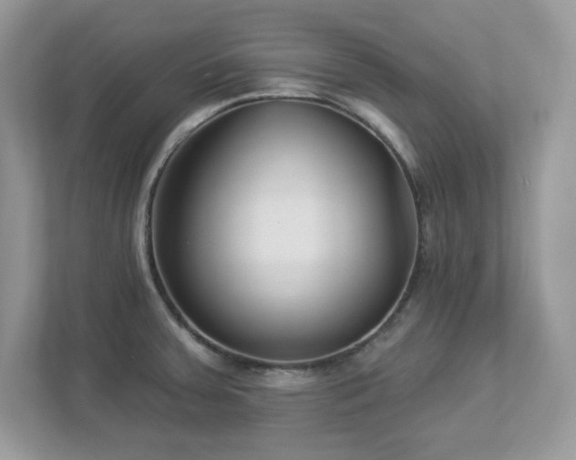 X0000112941379200908241312
