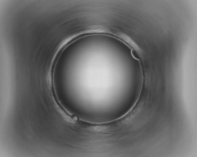 X0000112941380200908241312