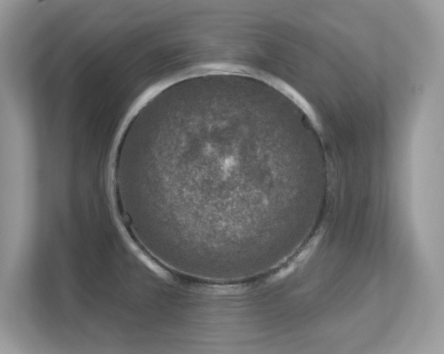 X0000112941381200908241312