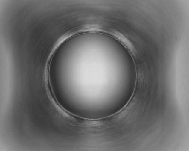 X0000112941382200908241312