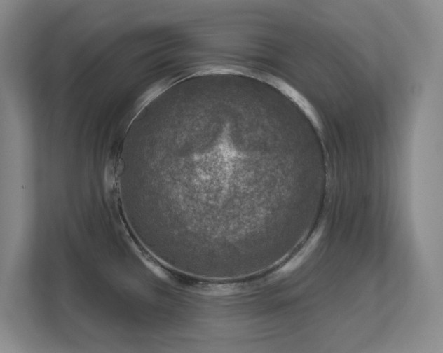 X0000112941385200908241311