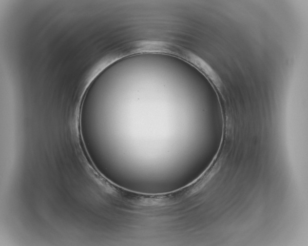 X0000112941386200908241311