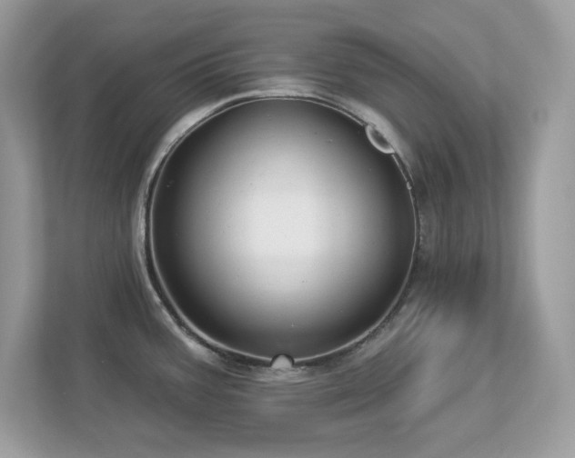 X0000112941387200908241311
