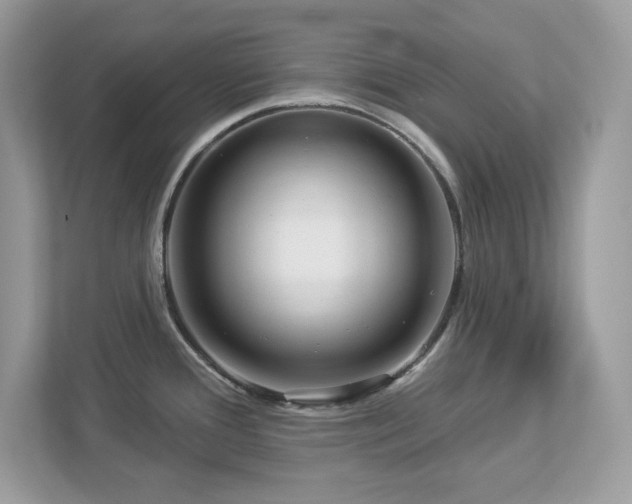 X0000112941388200908241311