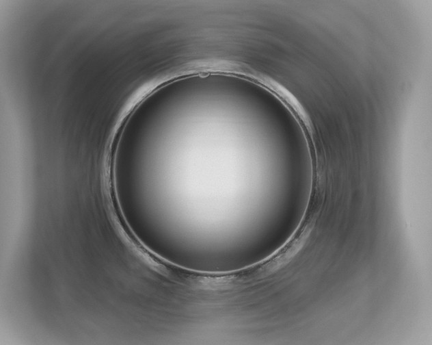 X0000112941389200908241311