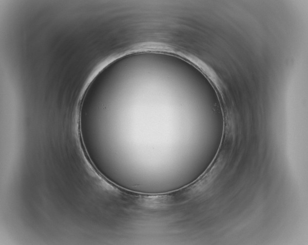 X0000112941390200908241311