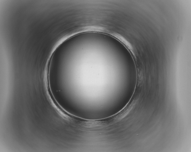 X0000112941391200908241311