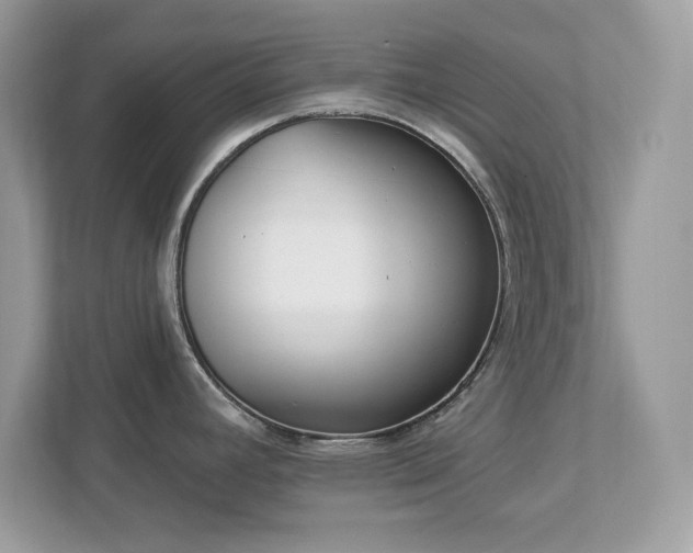 X0000112941392200908241311