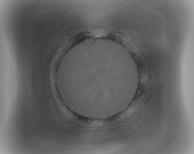 X0000112941393200908241311