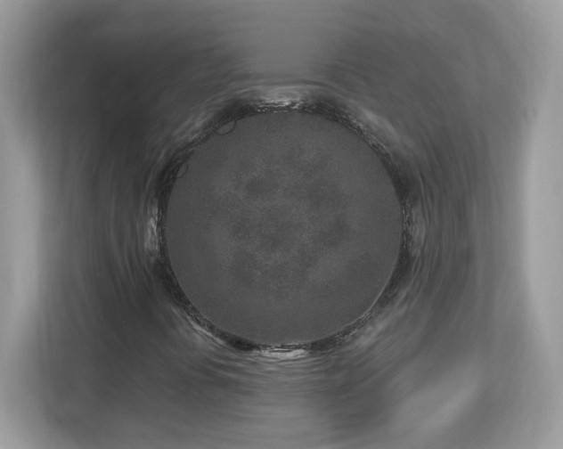 X0000112941394200908241311