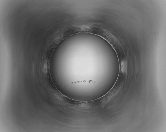 X0000112941395200908241311