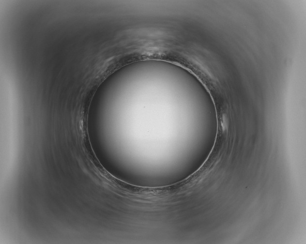 X0000112941396200908241311