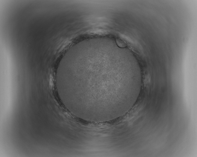 X0000112941397200908241311