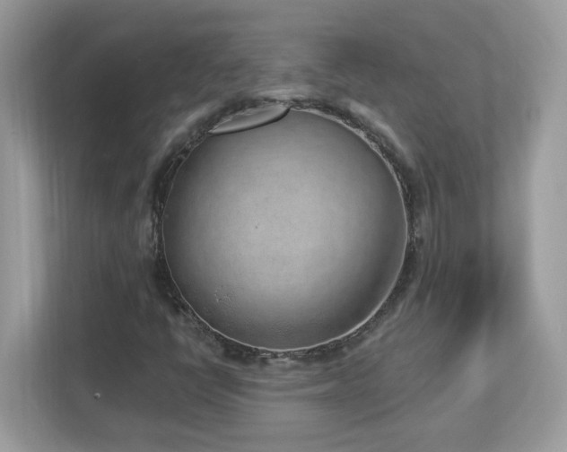 X0000112941398200908241311