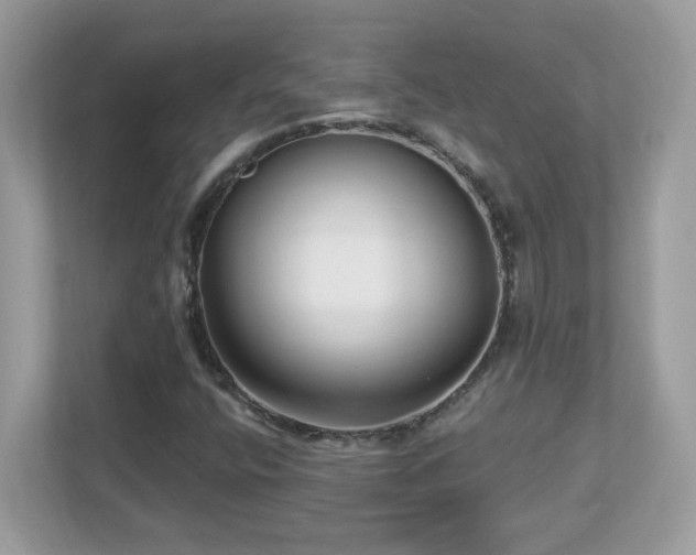 X0000112941400200908241311