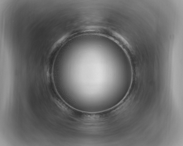 X0000112941403200908241311