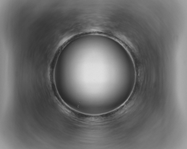 X0000112941404200908241311