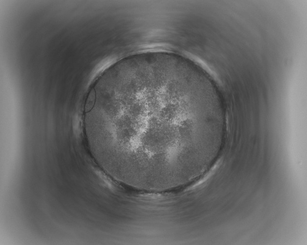 X0000112941405200908241311