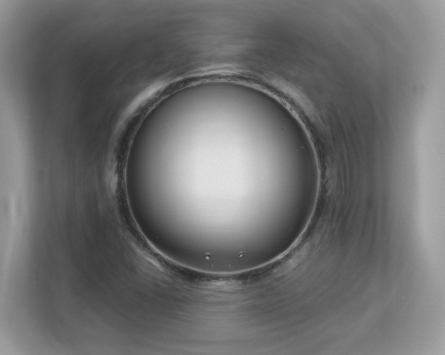 X0000112941406200908241311
