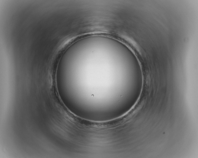X0000112941407200908241311