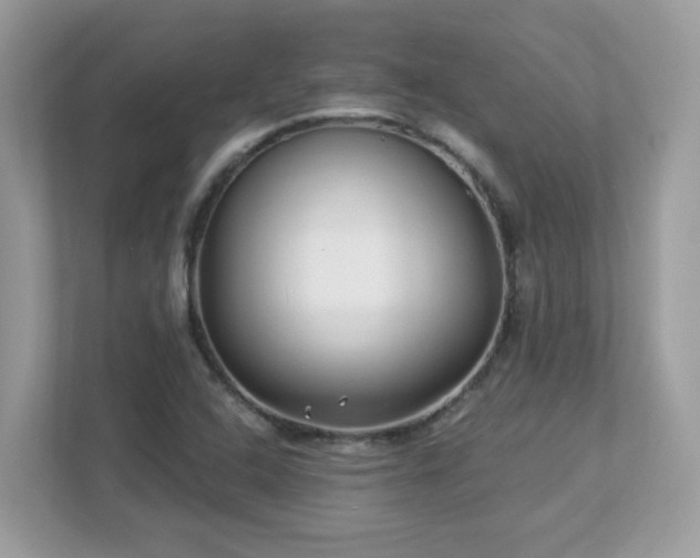 X0000112941408200908241311