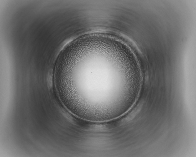 X0000112941409200908241311