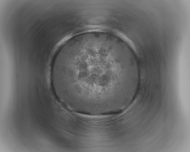 X0000112941411200908241311