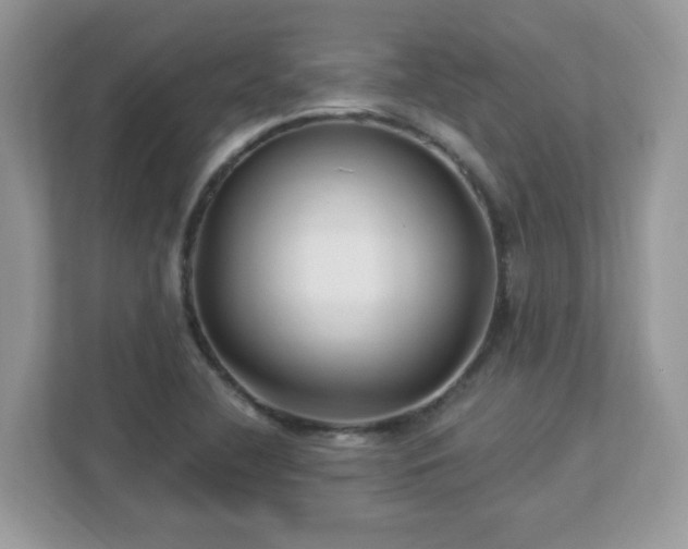 X0000112941412200908241311