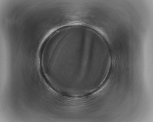 X0000112941414200908241311