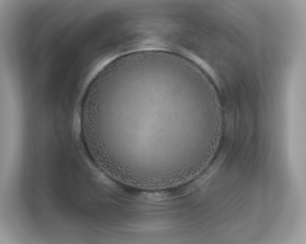 X0000112941415200908241311