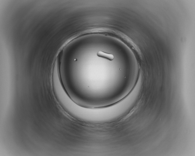 X0000112941417200908241311