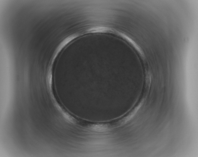 X0000112941418200908241311