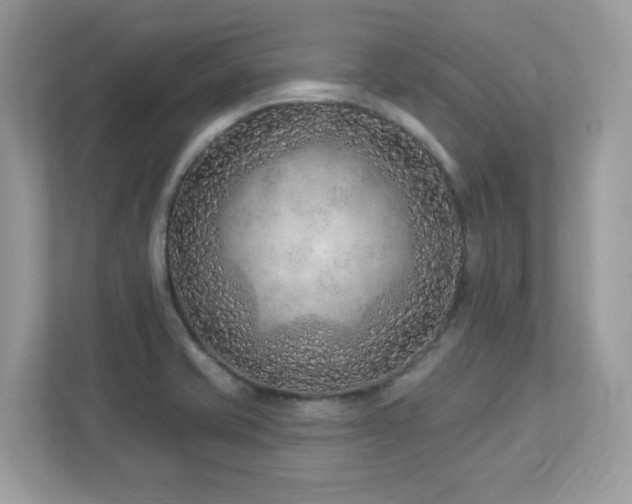 X0000112941421200908241311