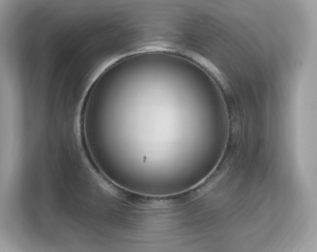 X0000112941423200908241311